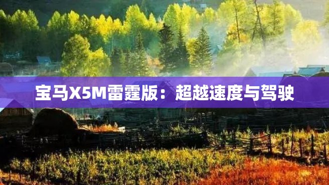 宝马X5M雷霆版：超越速度与驾驶