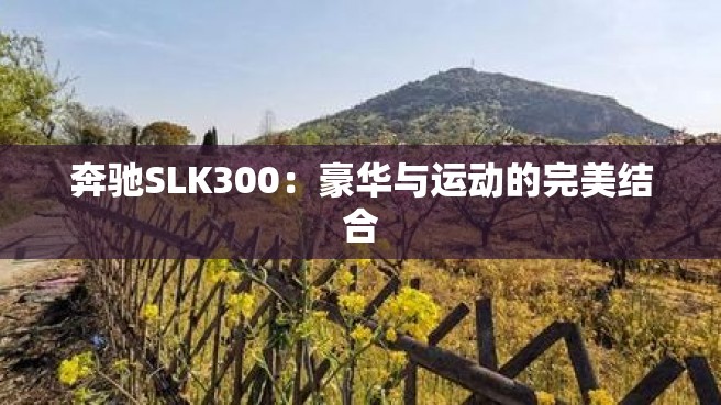 奔驰SLK300：豪华与运动的完美结合