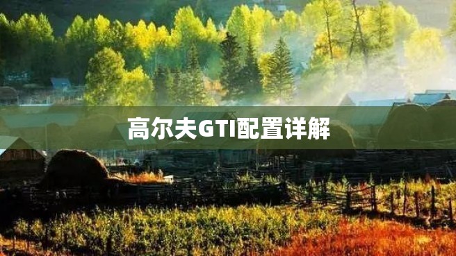 高尔夫GTI配置详解