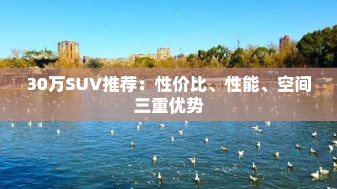 30万SUV推荐：性价比、性能、空间三重优势