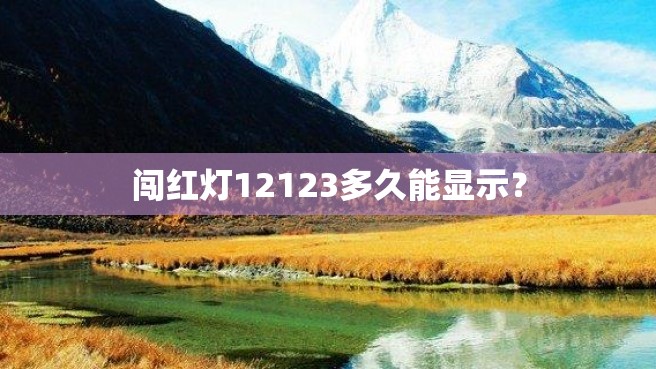 闯红灯12123多久能显示？