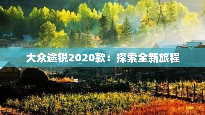 大众途锐2020款：探索全新旅程