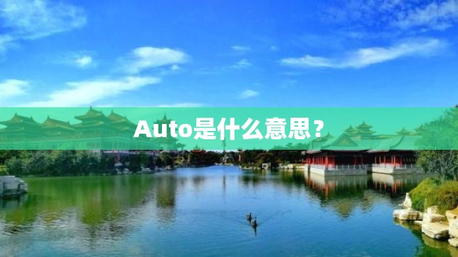 Auto是什么意思？