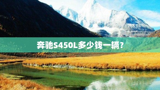 奔驰S450L多少钱一辆？