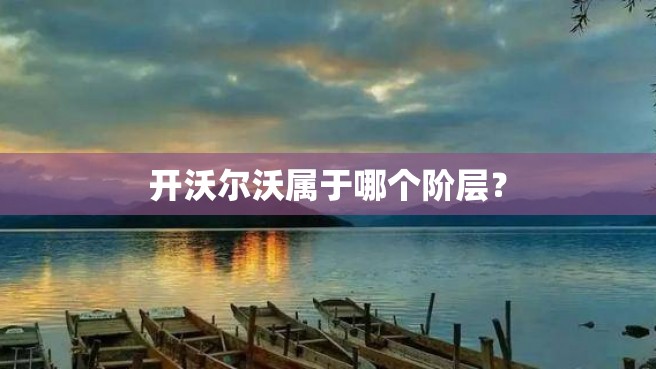 开沃尔沃属于哪个阶层？