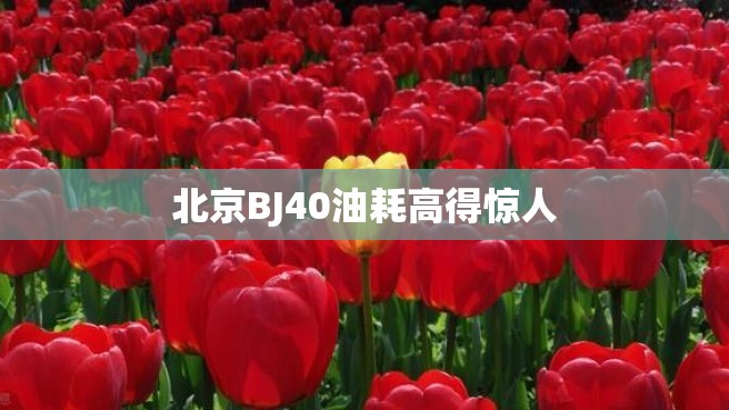 北京BJ40油耗高得惊人