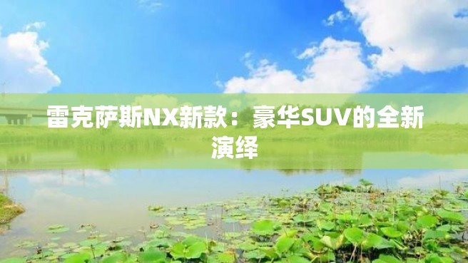 雷克萨斯NX新款：豪华SUV的全新演绎