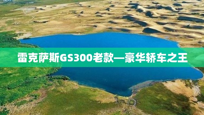 雷克萨斯GS300老款—豪华轿车之王