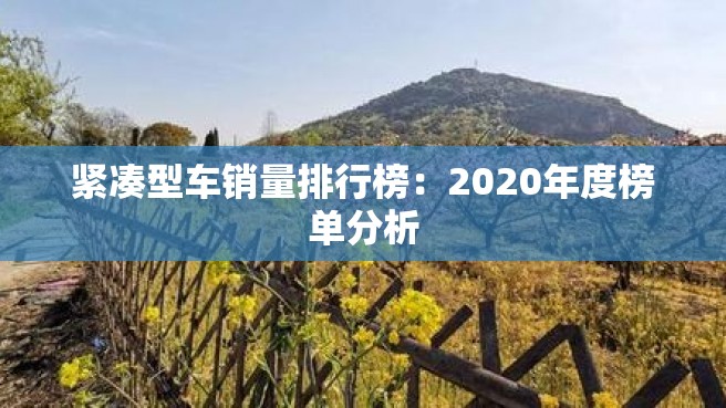 紧凑型车销量排行榜：2020年度榜单分析