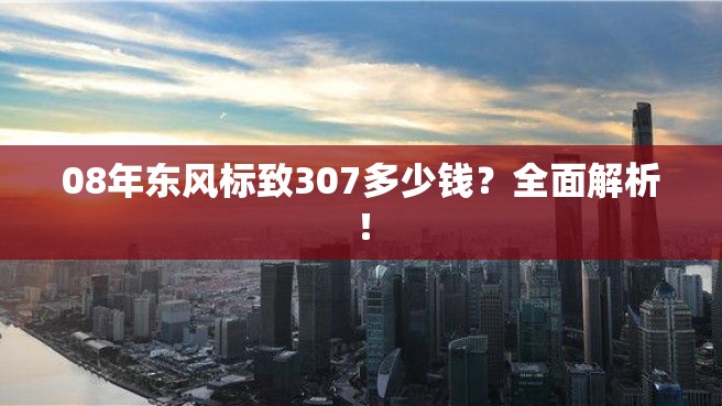 08年东风标致307多少钱？全面解析！