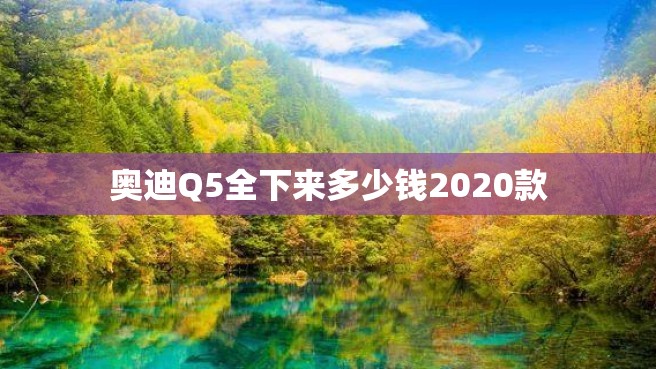 奥迪Q5全下来多少钱2020款