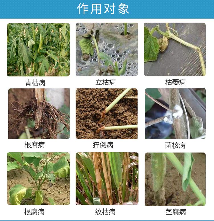 烂根的土壤怎么消毒