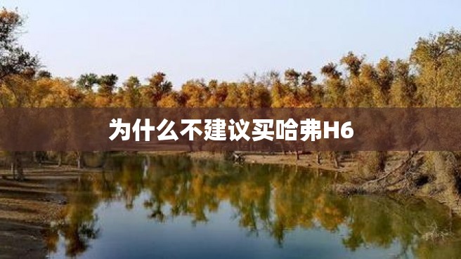 为什么不建议买哈弗H6