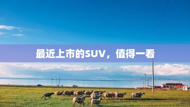 最近上市的SUV，值得一看