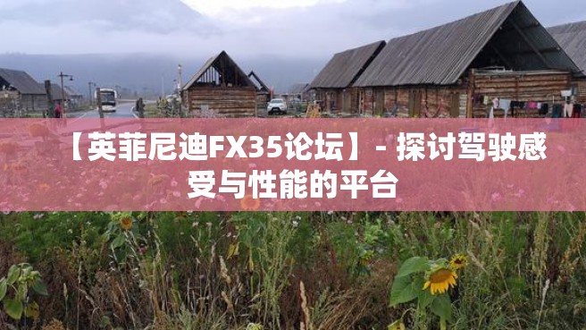 【英菲尼迪FX35论坛】- 探讨驾驶感受与性能的平台