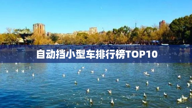 自动挡小型车排行榜TOP10