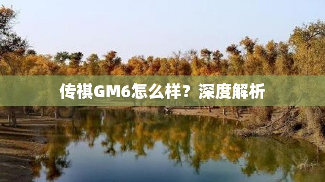 传祺GM6怎么样？深度解析