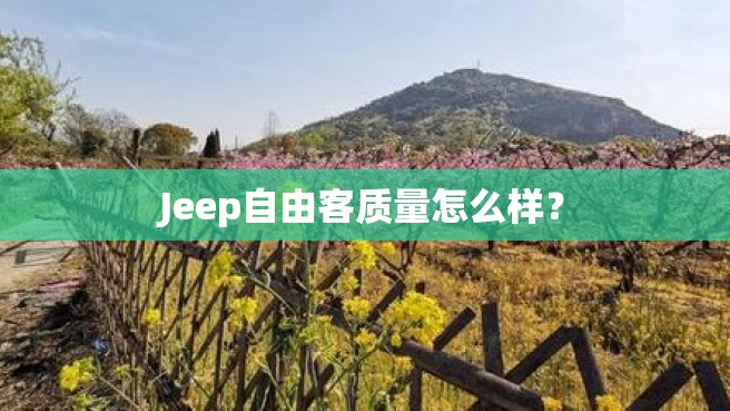 Jeep自由客质量怎么样？