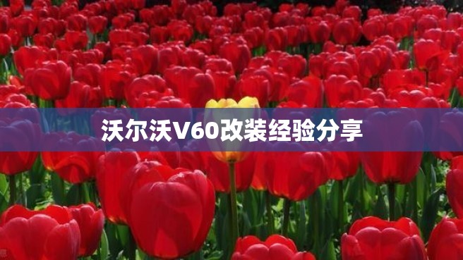 沃尔沃V60改装经验分享