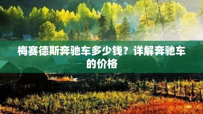 梅赛德斯奔驰车多少钱？详解奔驰车的价格