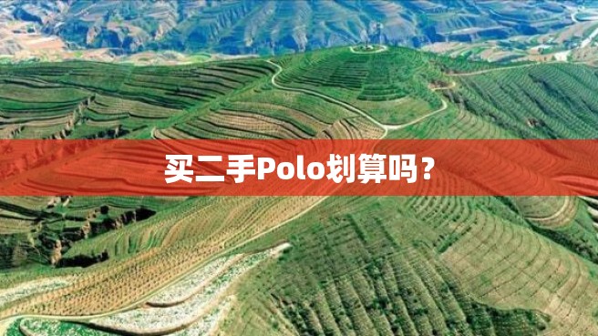 买二手Polo划算吗？