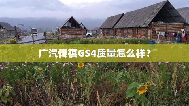 广汽传祺GS4质量怎么样？