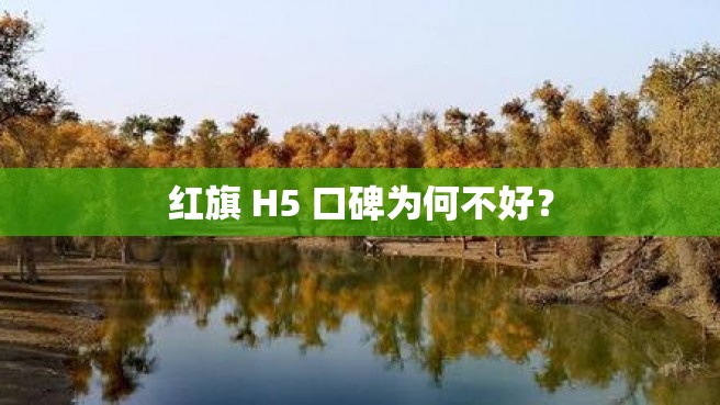 红旗 H5 口碑为何不好？