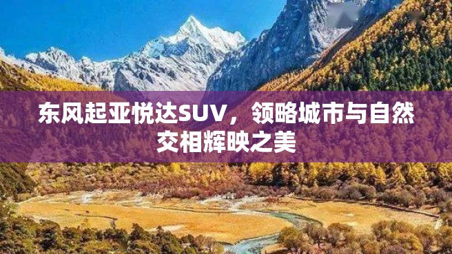 东风起亚悦达SUV，领略城市与自然交相辉映之美