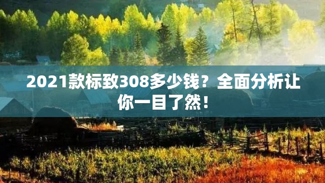 2021款标致308多少钱？全面分析让你一目了然！