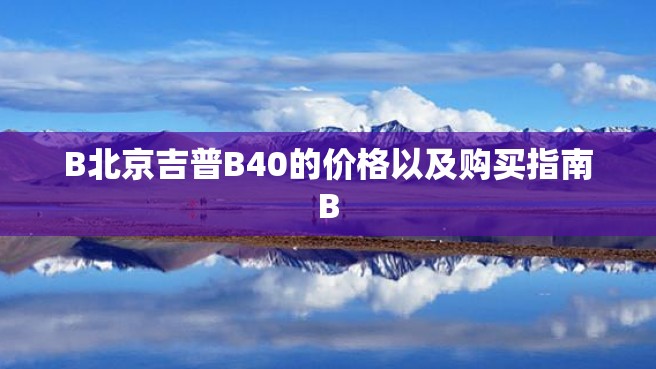 B北京吉普B40的价格以及购买指南B