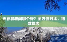 天籁和雅阁哪个好？全方位对比，细数优劣