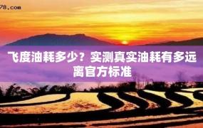 飞度油耗多少？实测真实油耗有多远离官方标准