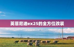 英菲尼迪ex25的全方位改装