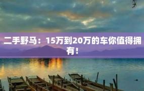 二手野马：15万到20万的车你值得拥有！