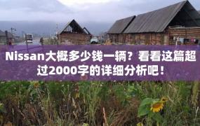 Nissan大概多少钱一辆？看看这篇超过2000字的详细分析吧！