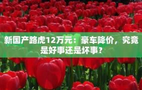 新国产路虎12万元：豪车降价，究竟是好事还是坏事？