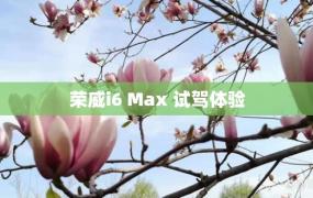 荣威i6 Max 试驾体验