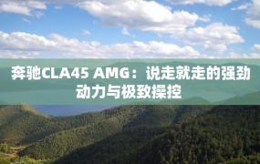 奔驰CLA45 AMG：说走就走的强劲动力与极致操控