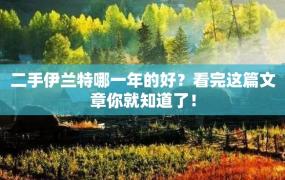 二手伊兰特哪一年的好？看完这篇文章你就知道了！