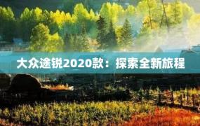 大众途锐2020款：探索全新旅程