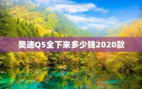 奥迪Q5全下来多少钱2020款