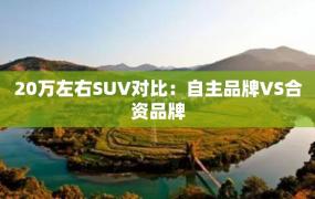 20万左右SUV对比：自主品牌VS合资品牌