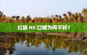 红旗 H5 口碑为何不好？