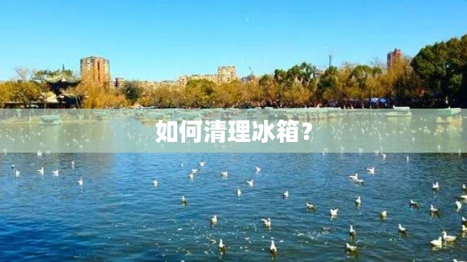 如何清理冰箱？