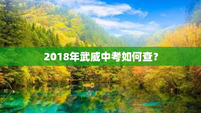 2018年武威中考如何查？