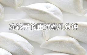 冻饺子需要煮几分钟(冰冻饺子煮多少分钟)