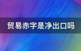 贸易赤字是净出口吗(贸易赤字和净出口的关系)