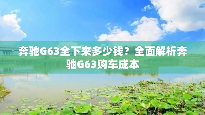 奔驰G63全下来多少钱？全面解析奔驰G63购车成本