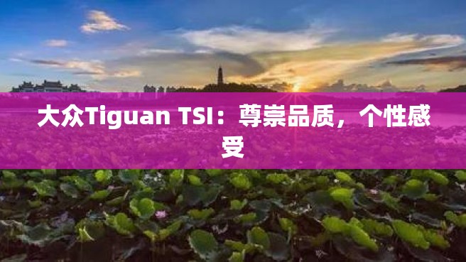 大众Tiguan TSI：尊崇品质，个性感受