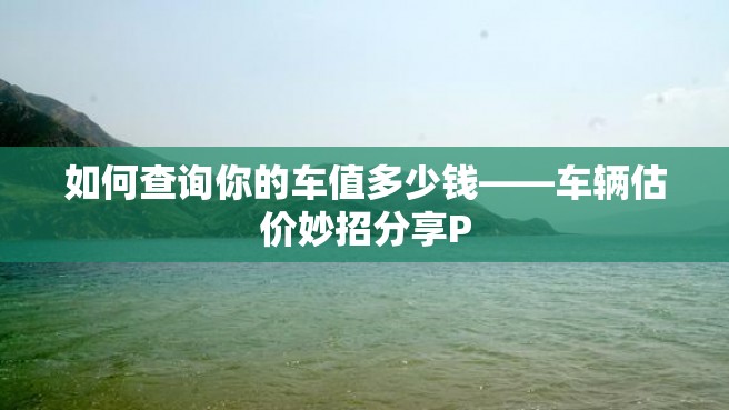 如何查询你的车值多少钱——车辆估价妙招分享P